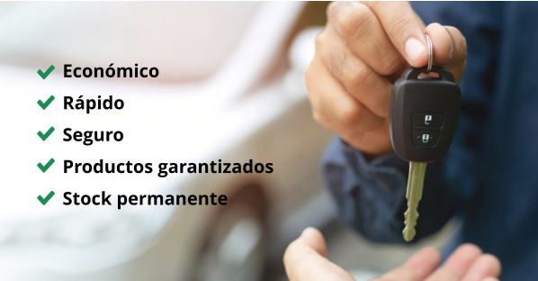 Económico Rápido Seguro Productos garantizados Stock permanente