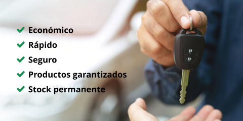 Económico Rápido Seguro Productos garantizados Stock permanente